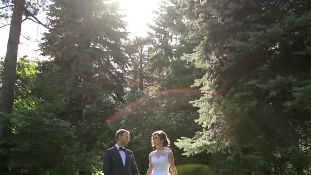 The bride and groom stand together on the background of trees. — Stock Video