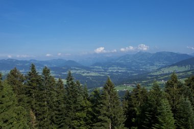 Avusturya vadide görünümünü