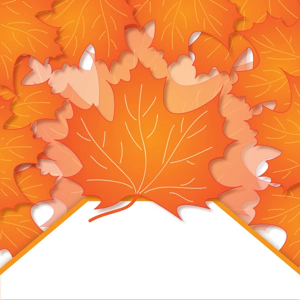 Resim akçaağaç yaprağı