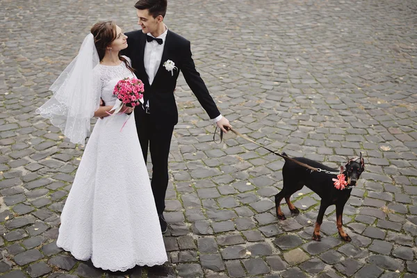 Bride and groom wedding with dog — Stock Photo, Image