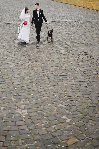 Bride and groom wedding with dog — Stock Photo, Image