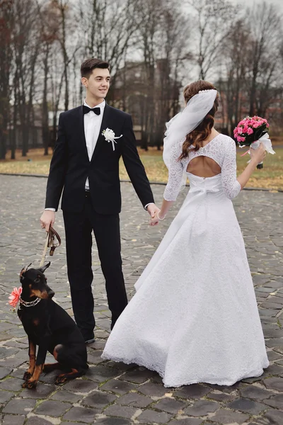 Bride and groom wedding with dog — Stock Photo, Image