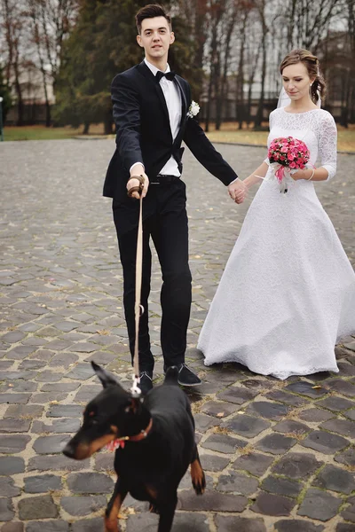 Bride and groom wedding with dog — Stock Photo, Image