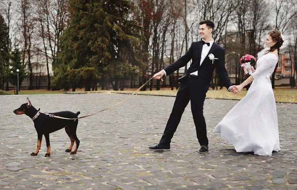 Bride and groom wedding with dog — Stock Photo, Image