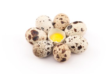 Beyaz arka planda bıldırcın yumurtaları.