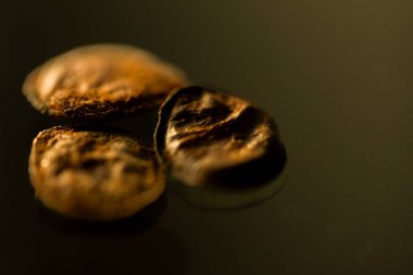 Paul Brasil ağacının üç kurumuş tohumu siyah arka planda fotoğraflandı. Yakın çekim organik doku, doğal form ve botanik ayrıntıları vurgular