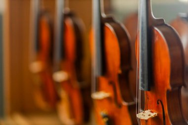 Keman enstrümanına yakın çekim.