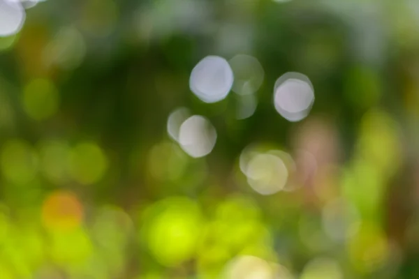 Bokeh ilham verici