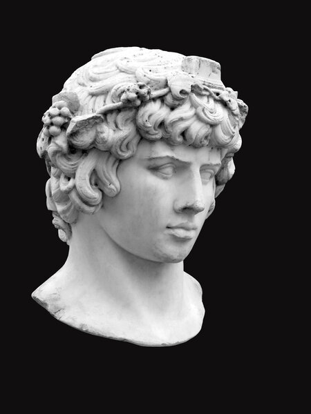 The head of Antinous in the guise of Bacchus on a black background 