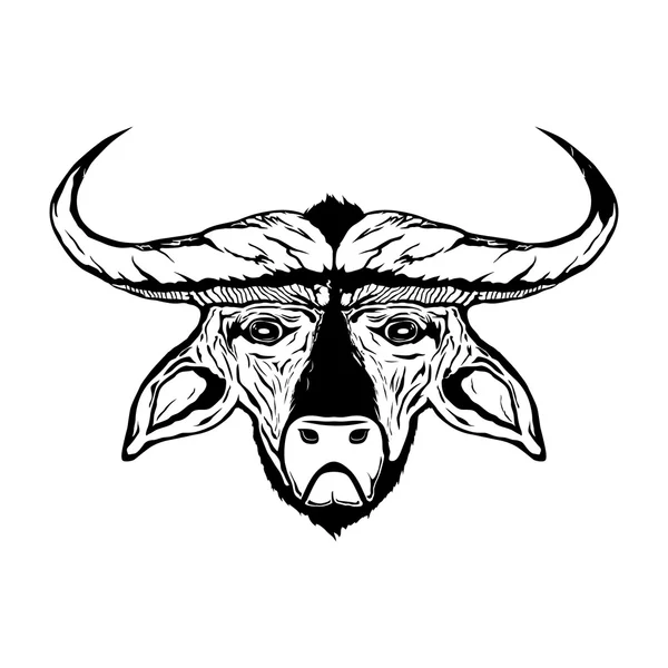 Cabeza de un toro — Vector de stock