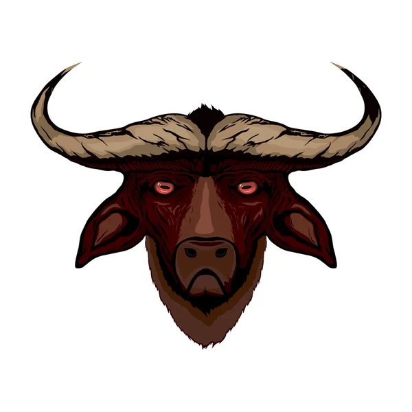Head of a bull — Stock Vector