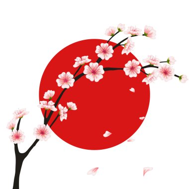 Vektör sakura şubesi, bayrak. Menü için gerçekçi çiçek asya tasarım, davet, tebrik, düğün kartları, web siteleri, broşürler, kitapçıklar, Japon tarzı duvar kağıtları. Hanami festivali çiçekleri