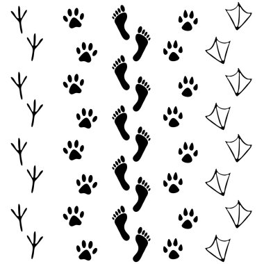 İnsan ve hayvan, kuş ayak izleri simge vektör kümesi. Çıplak insan topluluğu ayaklar, kedi, köpek, kuş, tavuk, tavuk, karga, ördek ayak izi. Çerçeveleri, davet ve tebrik kartları için tasarım