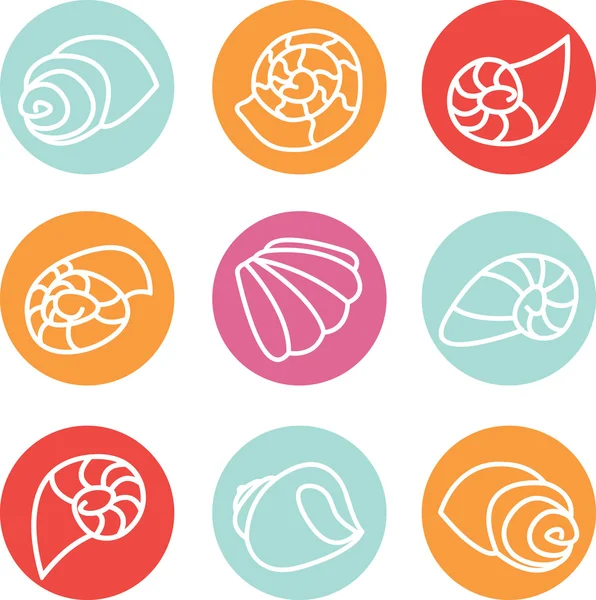 Conjunto de ícones coloridos ilustração shell — Vetor de Stock