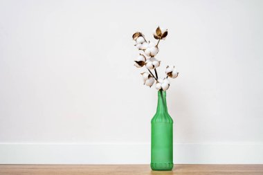 Kahverengi zemin ve beyaz zemin üzerinde yeşil şişe ve pamuk dallı iç dizayn için çiçek süsü.