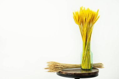 Yuvarlak ahşap ve beyaz arka planı olan metal tabure üzerinde iki renkli buğday demeti