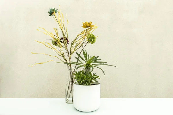 Imagem Frontal Palma Madagáscar Vaso Branco Flores Decorativas Atrás Mesa — Fotografia de Stock