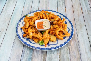 Kızarmış tavuk şeritleri ve bir yatak dolusu marul lahanası ile Talavera porselen tabağında soslar..