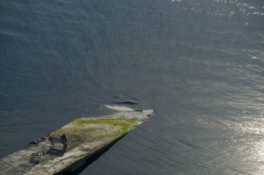 Yaşlı adam ve deniz. Yaşlı adam Türkiye 'de Karadeniz kıyısındaki bir rıhtımda dinleniyor