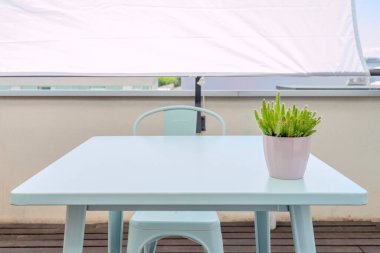 Pastel mavi bahçe masası. Pembe ekili. Güneşli çatı katı terasında kaktüslerle dolu.