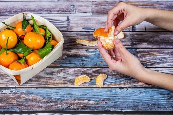 woman\'s hands peeling tangerine and tearing individual segments from a wooden basket full of ripe tangerines