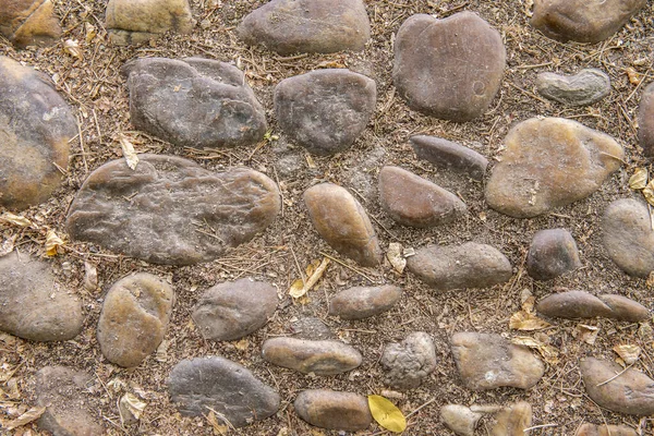 Polerowane Kamienie Rzeczne Zróżnicowanej Tonacji Brązu Gałęziami Suchymi Liśćmi Wokół — Zdjęcie stockowe