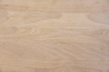 Verniklenmemiş kayın ağacı. Vektör ahşap doku arkaplanı