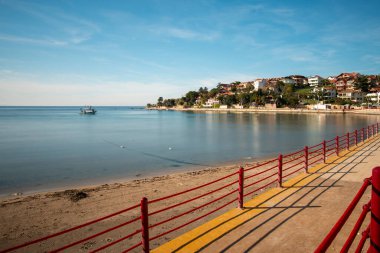 Türkiye 'nin Karadeniz kıyısındaki sakin bir plaja yürü
