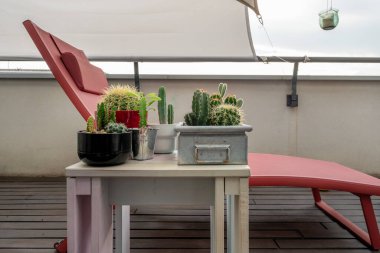 Kentin bir köşesinde içi kaktüs dolu tencereler ve ahşap döşemeleri olan bir hamak.