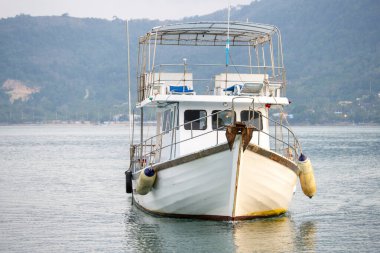 Pasifik Okyanusu sahillerinde yol alan beyaz zevk teknesi.
