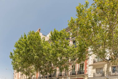 El yapımı tuğla cepheli sosyal konutlar ve içinde ağaçlar ve ortak banklar olan iç avlular.