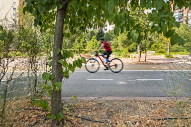 Ağaçların arasında asfalt bisiklet yolu