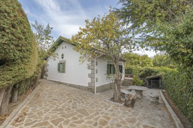 Kavisli cam bir masa ve çiçekli bir kiraz ağacının gölgesinde hasır sandalyeli yemek takımı.