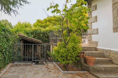 Granit duvarda entegre ışıklandırma ve doğal güvenlik sağlayan Pyracantha çitleri olan çevre güvenlik geçidi.