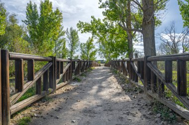 Detaylı bir yakın çekim, yosun ve yosunların metal kütüklerin dibinde nasıl yetiştiğini ortaya koyuyor.