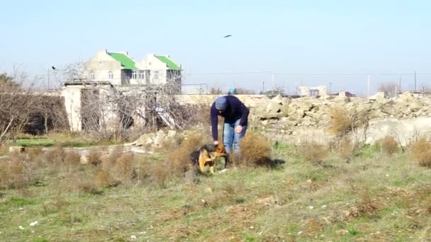 De jongen speelt met een Duitse herder in de tuin — Stockvideo