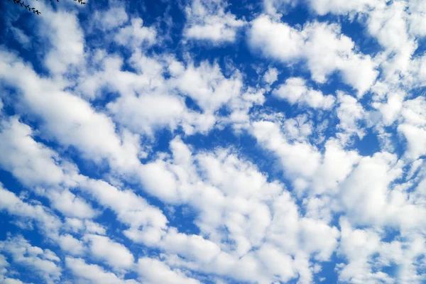 Abstract Beautiful Cloud Blue Sky Blackground Stock Photo