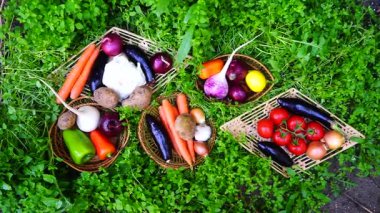 yeşil çimlerin üzerinde farklı sebze ve turunçgiller taşıyor..