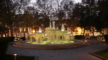 Güzel renkli fıskiyede gece Şehir Parkı