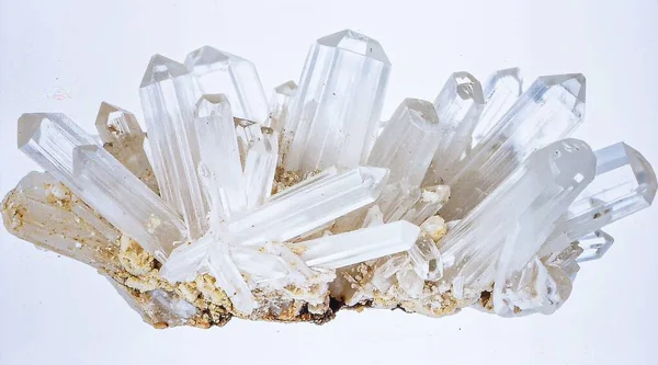 Şeffaf bıçaklara ve lifli yapıya sahip saf beyaz arka planda izole edilmiş selenit çubuklardan oluşan bir küme..