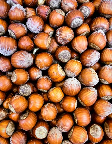 Fındık yüzeyi doğal ceviz dokusunu ve organik besin detaylarını gösteriyor.