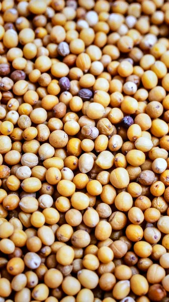 Doğal baharat dokusunu ve organik baharat detaylarını gösteren hardal tohumlarını kapat.