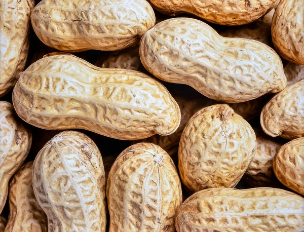 Doğal organik fındık dokusunu ve bitki bazlı gıda detaylarını gösteren fıstık yüzeyini kapatın.