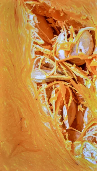 Balkabağı eti yüzeyini kapatın organik sebze dokusunu ve doğal bitki besinlerini gösterin.