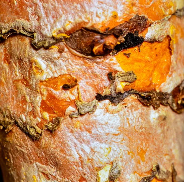 Doğal baharat dokusunu ve organik bitki besinlerini gösteren zerdeçal kök yüzeyini kapatın.