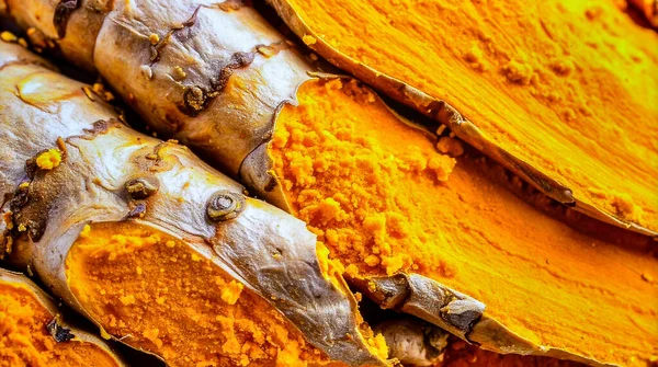 Doğal baharat dokusunu ve organik bitki besinlerini gösteren zerdeçal kök yüzeyini kapatın.