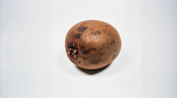 Siyah Sapote Çikolatalı Puding Beyaz Arkaplanda İzole Edilmiş Ekzotik Gıda Nesnesi