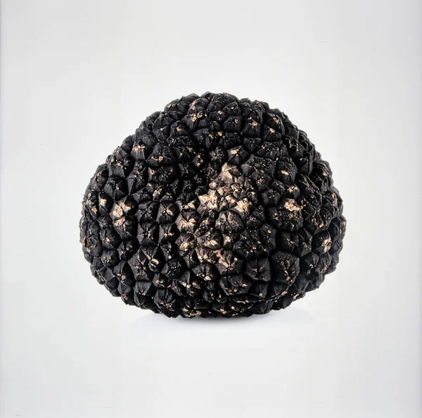 Beyaz Arkaplanda Siyah Yer Mantarı, Lüks Yenebilir Mantar Temsili Gurme Mutfağı ve Aromatik Lezzet Konsepti