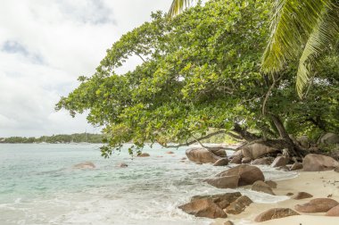 Anse lazio beach, praslin Adası, Seyşel Adaları