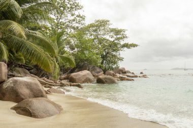 Anse lazio beach, praslin Adası, Seyşel Adaları
